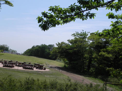 生态公园旅游须知