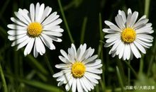 岁月静好懂得珍惜