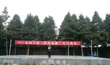 我爱学校的花园