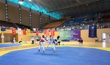 精彩的跆拳道比赛