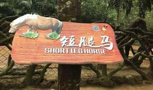 海南热带野生动物园一日游