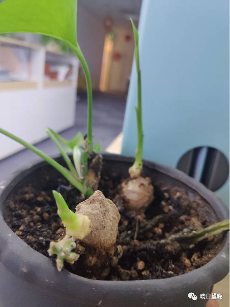 善与恶