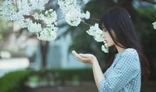 今生有幸遇见你