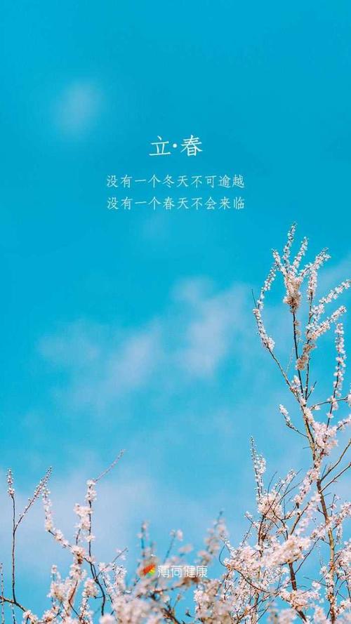 我希望有一个冬天