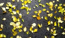 人生的第一场雨