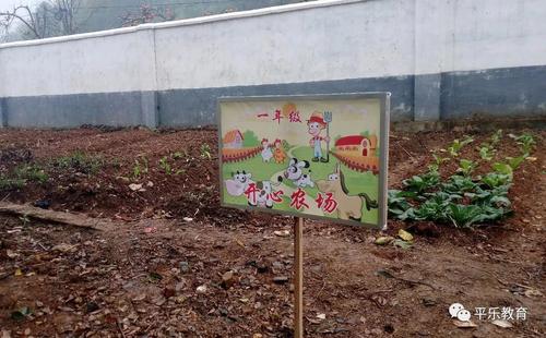 实战经验