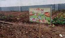 实践基地的心得