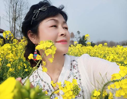 一年花椰菜黄