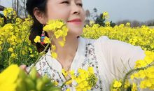 又是一年菜花黄