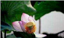 那段听雨的日子