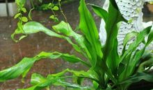 突如其来的一场雨