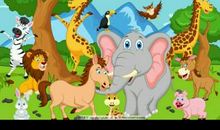 动物王国开大会