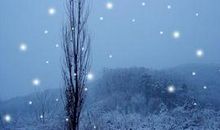 我是一朵小雪花