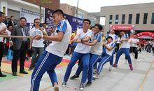 拔河比赛的感悟