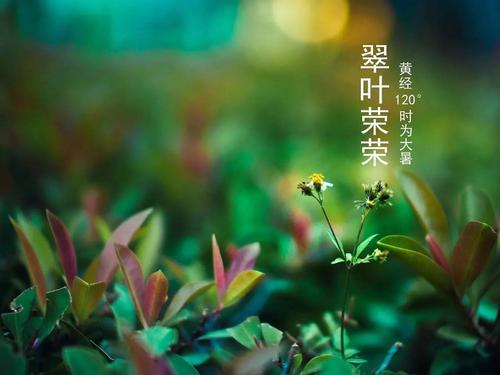 难忘的夏天