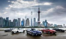 自信之树愿常青