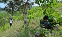 一次难忘的农村生活