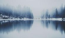 大爱不言谢，点滴在心间