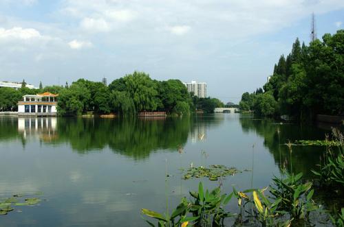 风景是故乡之美