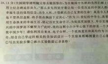 难忘我什么的经历作文