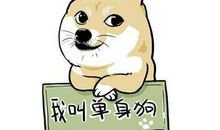 我骄傲我是一个自信的人