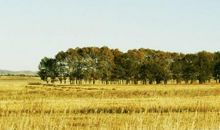 乡村田野让我陶醉