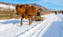 抚摸远去的童年