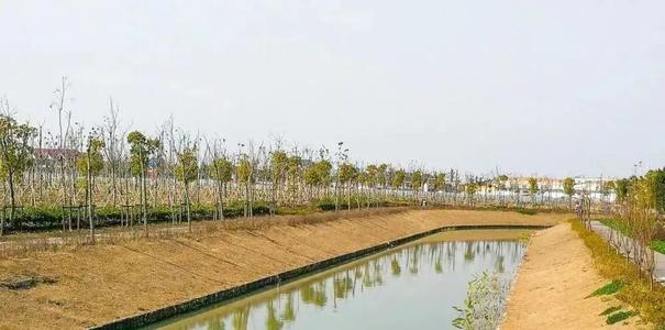联合村的春天