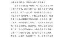 家有宠物作文小狗500字