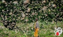 原来秋味儿并不遥远