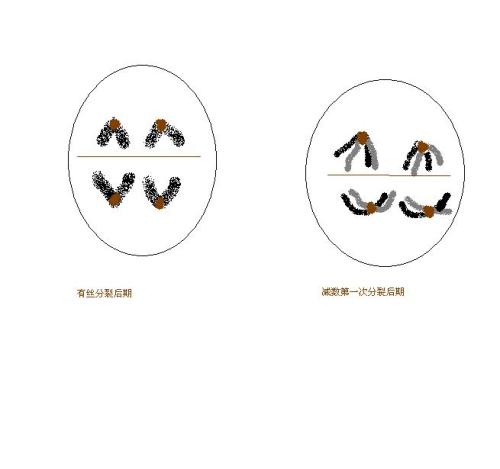 第一次挖
