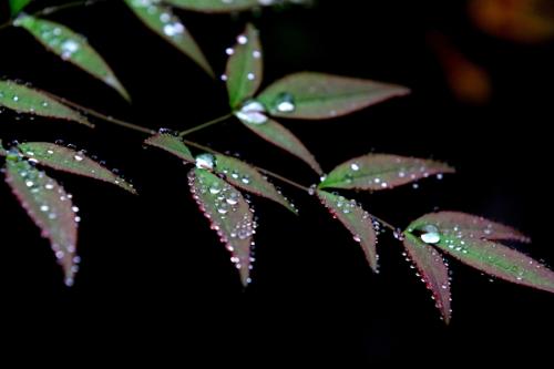 多雨的秋天
