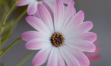 留在心底的那份美好