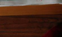 小羊的名片续写