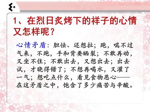 大雨过后的思考