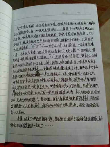这块木头一定有虫子的成分