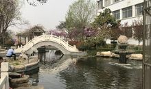 我们学校的小桥流水