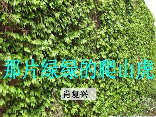 向爬行者致敬