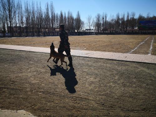 参观警犬基地