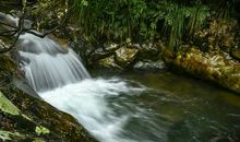 家乡最美是小溪