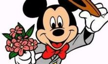 我观察过的一个什么