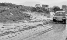 泥泞路上的“井底之蛙”