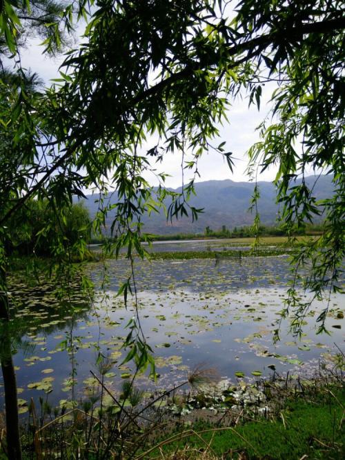 追求净土