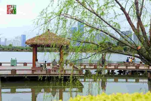 轻拂春风，向南行驶