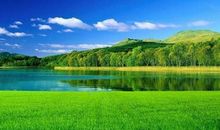 收敛锋芒低调做人