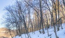 回忆中的大池塘