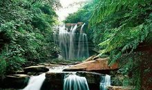 写瀑布的景色的作文