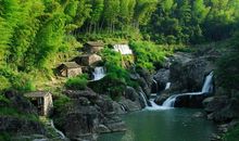 一张废纸的旅行