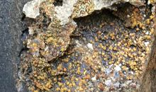 我和矿晶的故事