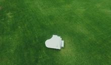 假日里我们去月光草坪